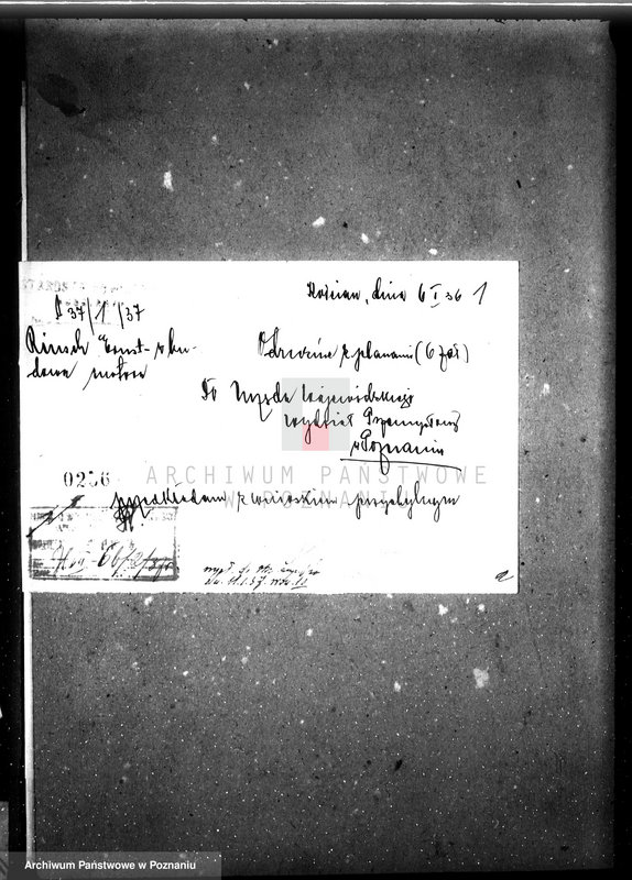 Obraz 5 z jednostki "Zatwierdzenie zakładu przemysłowego stacji napędowej Ernesta Bintscha w Śmiglu, pow. kościański"