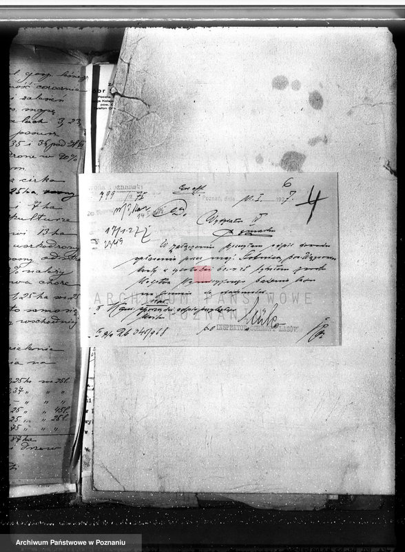 image.from.unit.number "Majętność leśna Stobnica powiat obornicki"