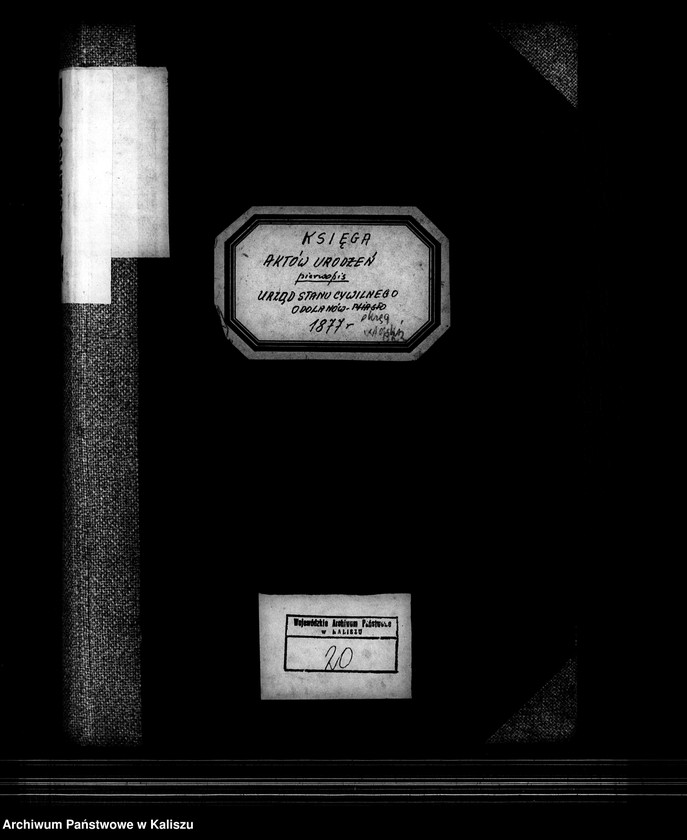 image.from.unit.number "[Księga urodzeń]"