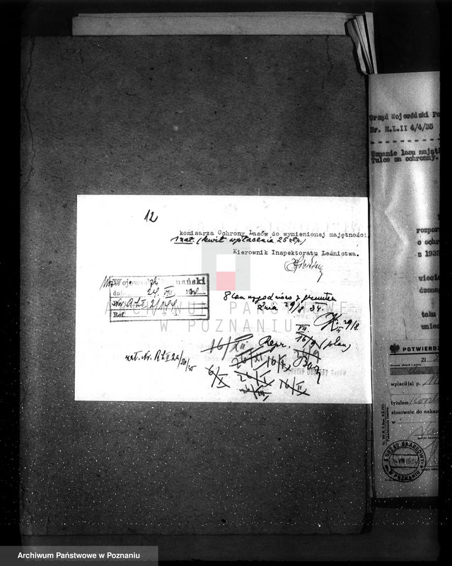 Obraz 16 z jednostki "Nadzór nad gospodarką w lasach majętności Tulce powiat średzki"