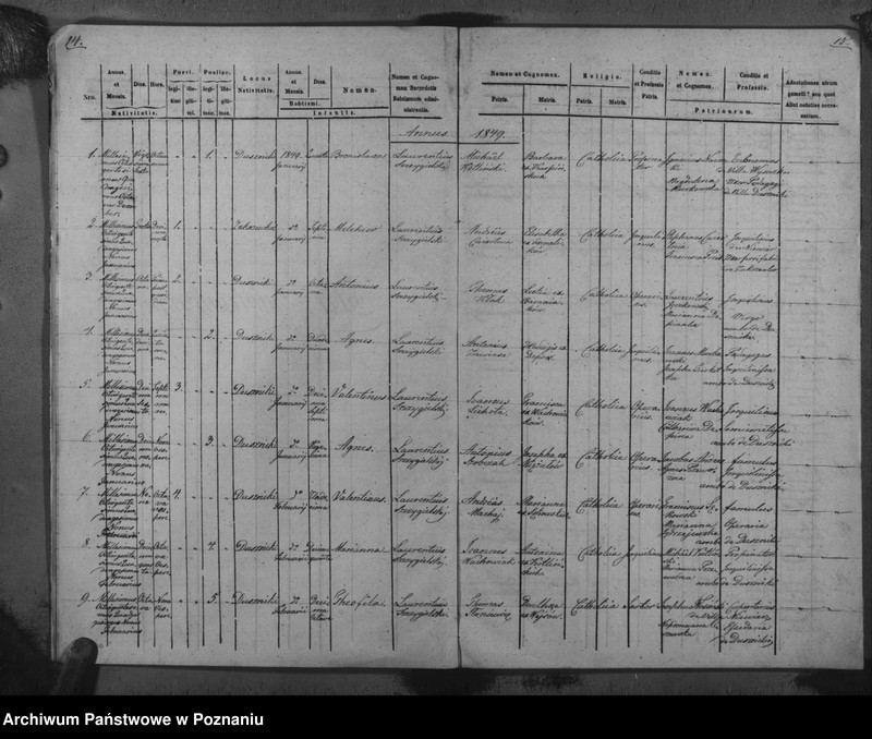 Obraz 11 z jednostki "Duplicat baptisatorum, copulatorum, mortuorum"