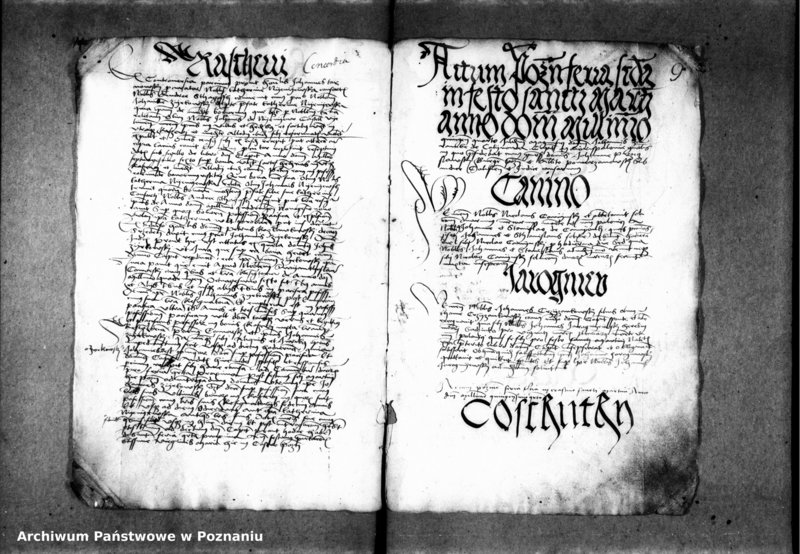 Obraz 14 z jednostki "Inscriptiones, relationes, decreta [inducta]"