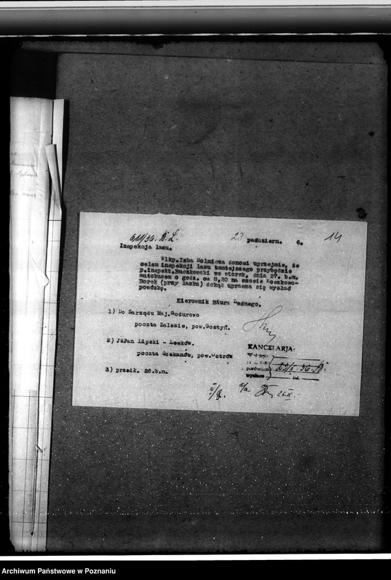 Obraz 18 z jednostki "Leśnictwo w Godurowie powiat gostyński"