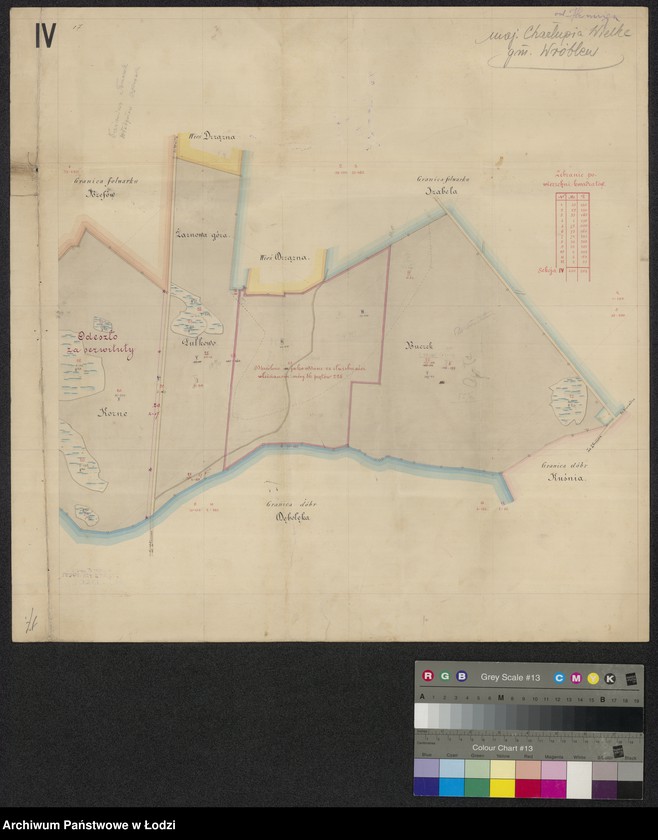 Obraz 4 z jednostki "Odrys pomiaru przestrzeni leśnej Charłupia Wielka ... w powiecie sieradzkim położonej"