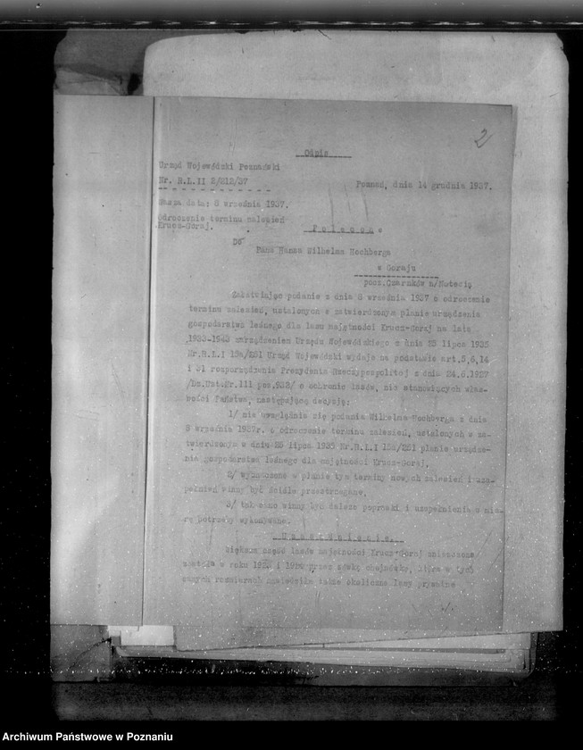 Obraz 6 z jednostki "Sprawa zalesienia majątku Krucz-Goraj"