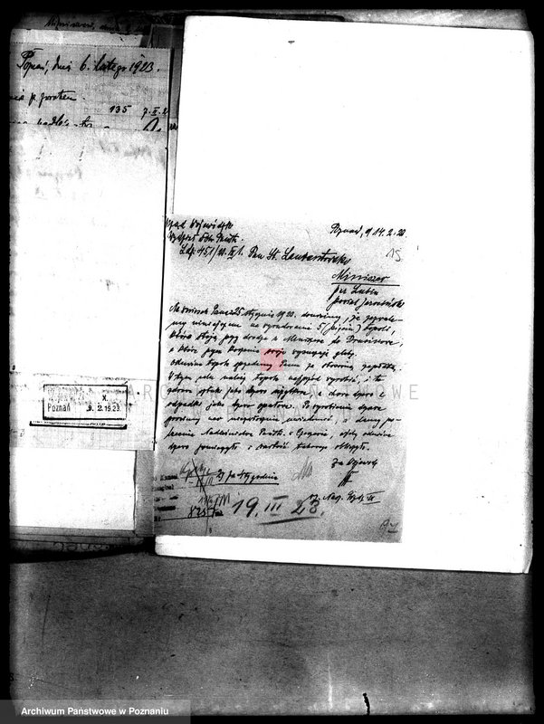 Obraz 19 z jednostki "Drzewostan w majętności państwowej Miniszew"