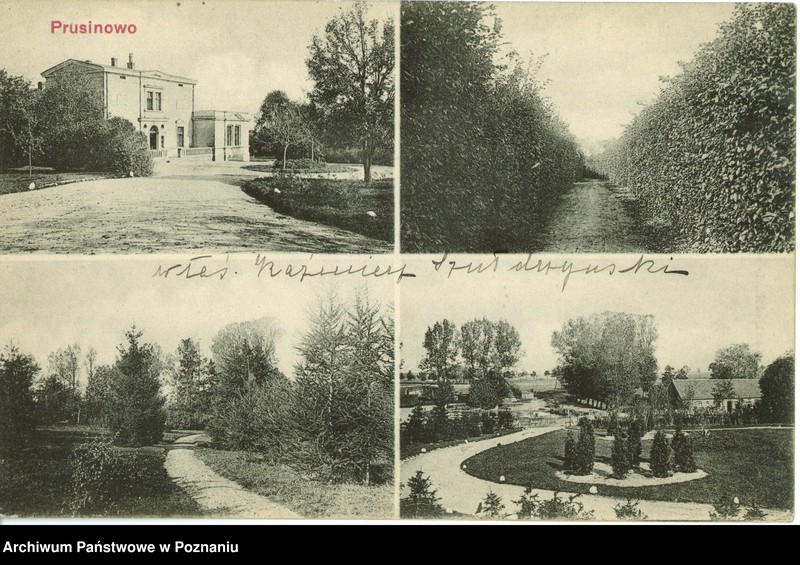 Obraz 1 z jednostki "Prusinowo - rezydencja Szułdrzyńskich, fragmenty parku"