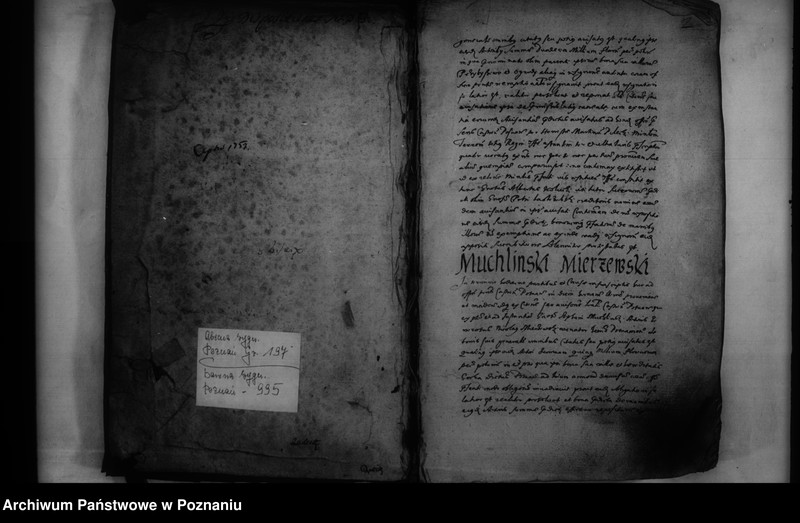 Obraz 3 z jednostki "Inscriptiones [inducta]"