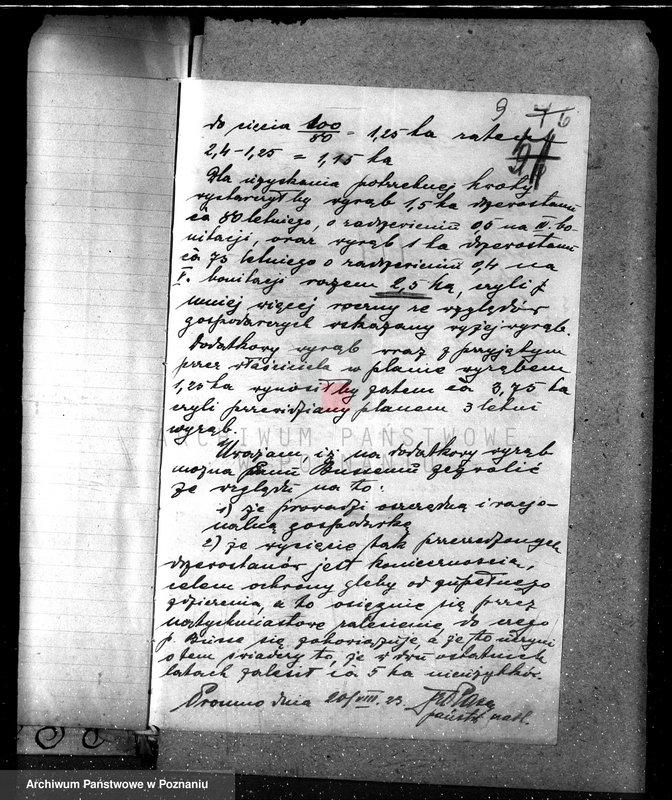 Obraz 13 z jednostki "Nadzór nad gospodarką w lasach majątku Osuch /Z. Busse/ w powiecie czarnkowskim"