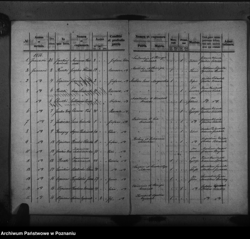 Obraz 13 z jednostki "Liber baptisatorum, copulatorum, mortuorum"