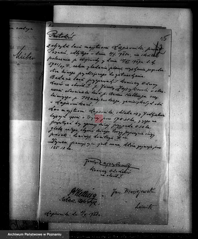 Obraz 19 z jednostki "Nadzór nad gospodarką w lasach majętności Łagiewniki"