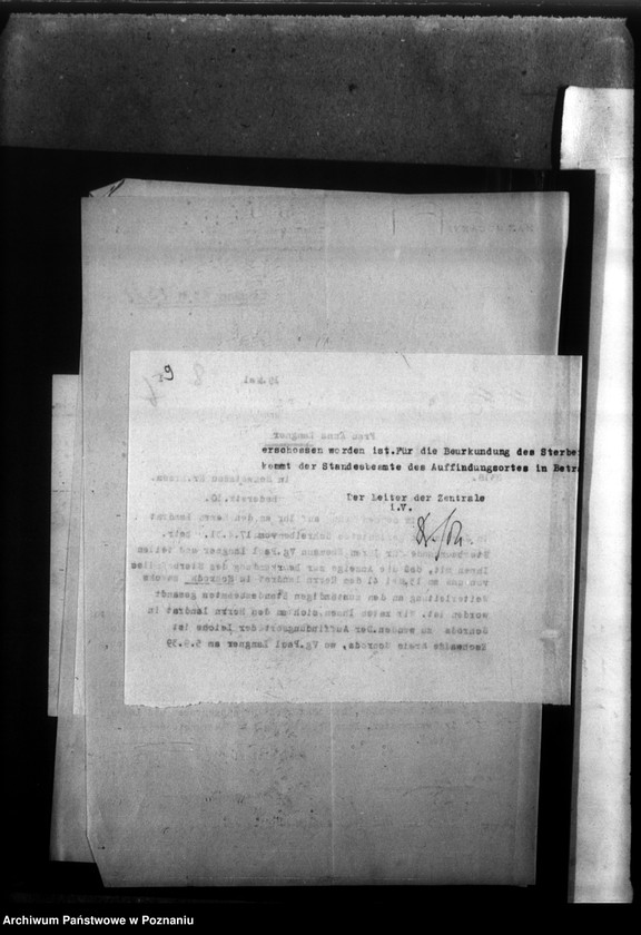 Obraz 13 z jednostki "Paul Langner - Schwetzkau, Kreis Lissa (Leszno)"