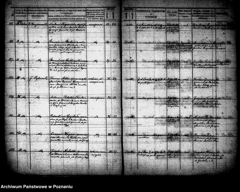 Obraz 15 z jednostki "Księga małżeństw"