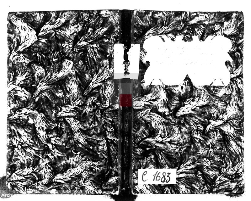 Obraz 2 z jednostki "Księga Aktów Zaślubionych Urzędnika Stanu Cywilnego Gminy Liszkowskiey od 1- go stycznia 1818 roku"