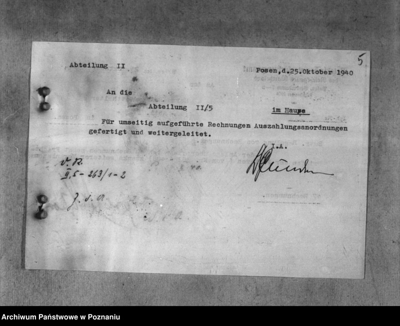 Obraz 9 z jednostki "Veterinärverwaltung"