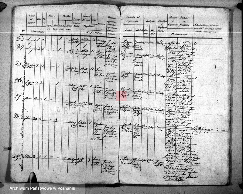 image.from.unit.number "Duplikat urodzonych, zaślubionych, zmarłych"