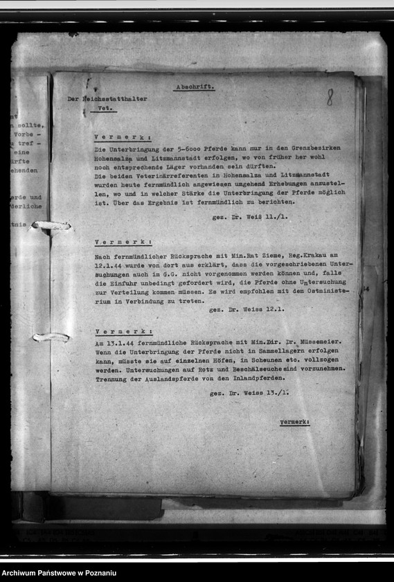 Obraz 12 z jednostki "Einfuhr von Tieren aus den besetzten Ostgebieten - auch der Schwarzmeerdeutschen"