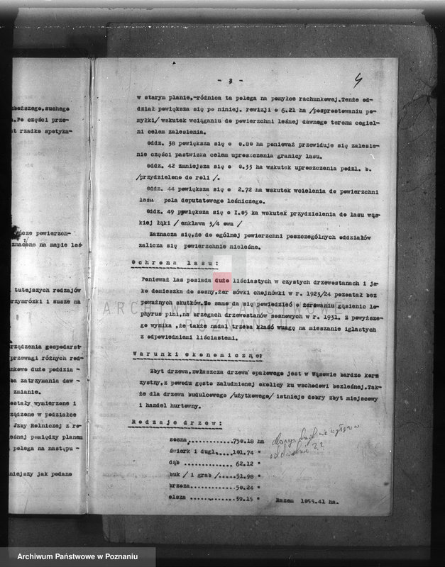 Obraz 8 z jednostki "Plan urządzenia gospodarstwa leśnego dla lasu majętności Wąsowo w powiecie nowotomyskim 1933-1943"