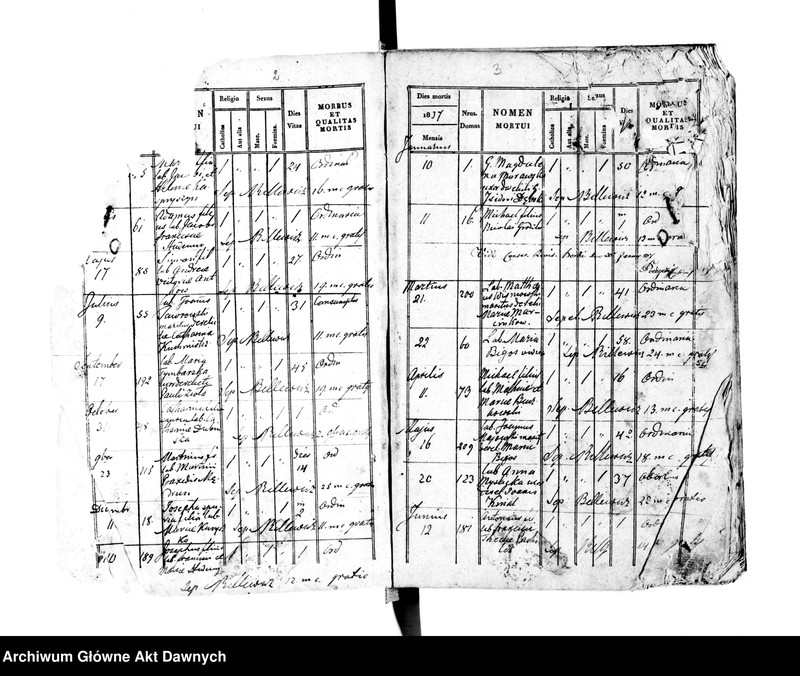 image.from.unit.number "Parafia: Czernielów Mazowiecki. Dekanat: Tarnopol. Księga metrykalna zgonów tylko dla wsi Borki Wielkie*."