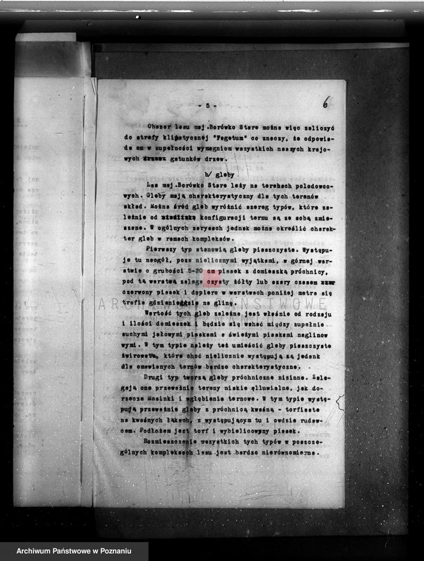 Obraz 10 z jednostki "Plan urządzania gospodarstwa leśnego majętności Borówkowo-Stare powiat. kościański"