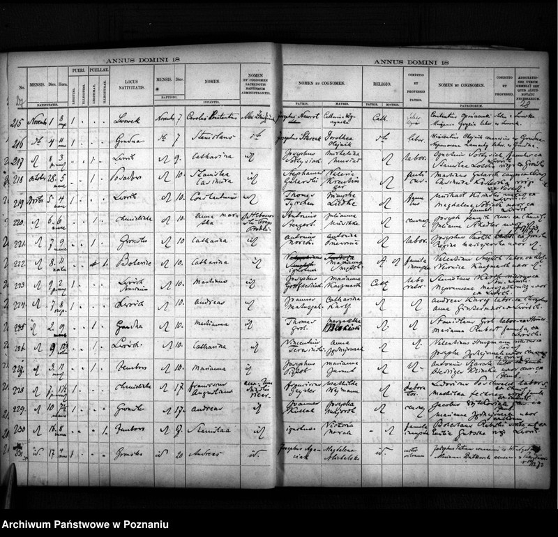 image.from.unit.number "Liber baptisatorum, copulatorum, mortuorum"