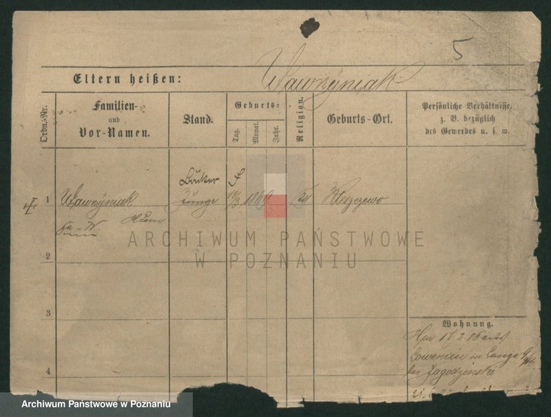 Obraz 13 z jednostki "Wawrzyniak (samotni mężczyźni i kobiety)"