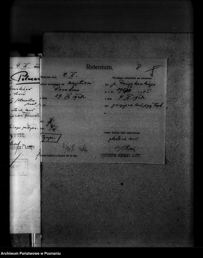 Obraz 12 z jednostki "Majętność leśna Powodowo powiat wolsztyński"