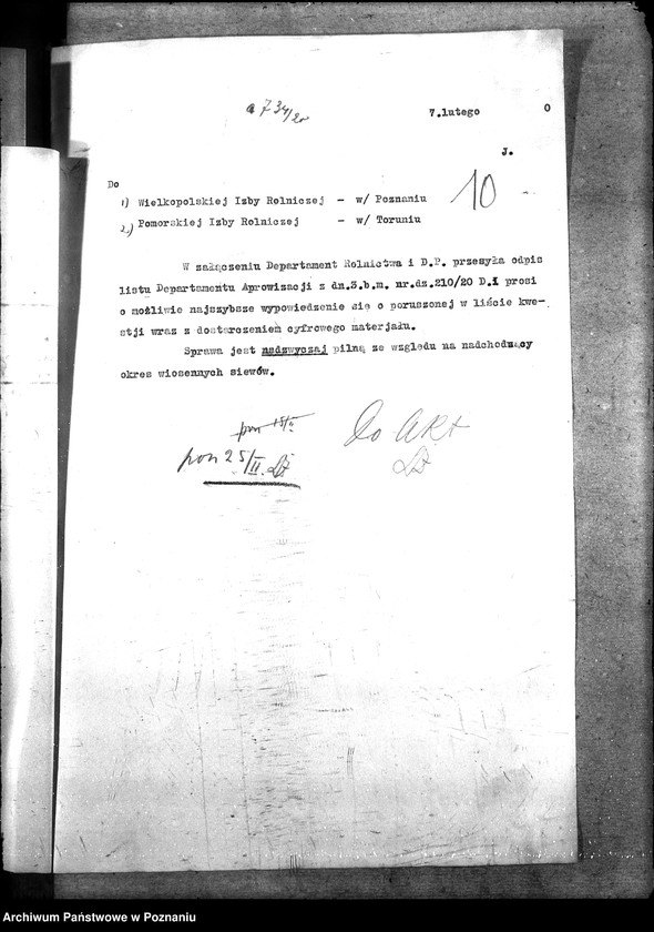 Obraz 15 z jednostki "Zboże siewne i sadzonki"