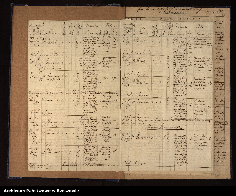 image.from.unit.number "Księga urodzeń, małżeństw, zgonów dla miejscowości Dźwiniacz Dolny"