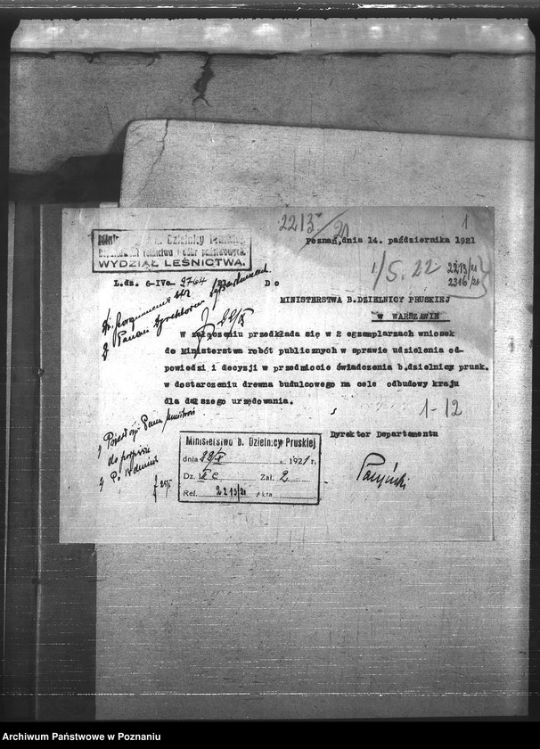 Obraz 4 z jednostki "Leśnictwo"