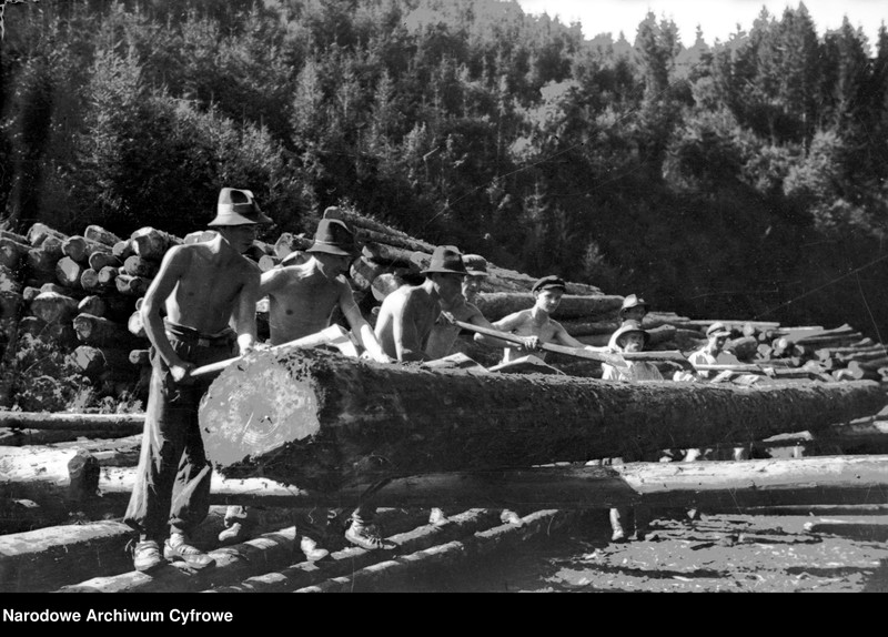 image.from.unit.number "Tartak w Skolem"