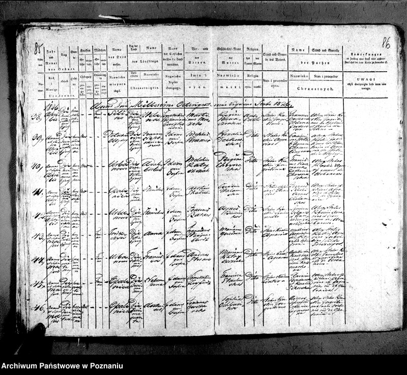 image.from.unit.number "Liber baptisatorum"