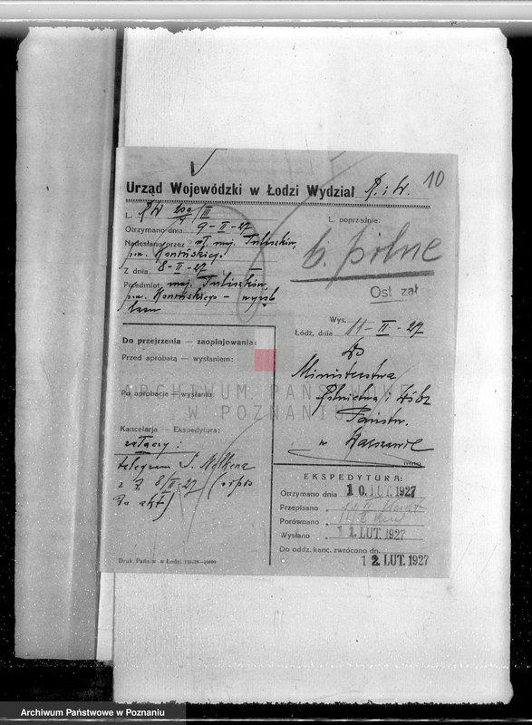 Obraz 13 z jednostki "Las miasta Tuliszkowo powiat koniński"