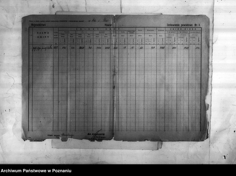 Obraz 4 z jednostki "/Statystyka produkcji rolnej - zestawienie ogólne z powiatu chodzieskiego"