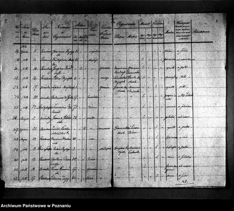 image.from.unit.number "Duplikat zmarłych"