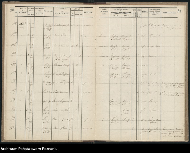 Obraz 13 z jednostki "Księga zgonów"