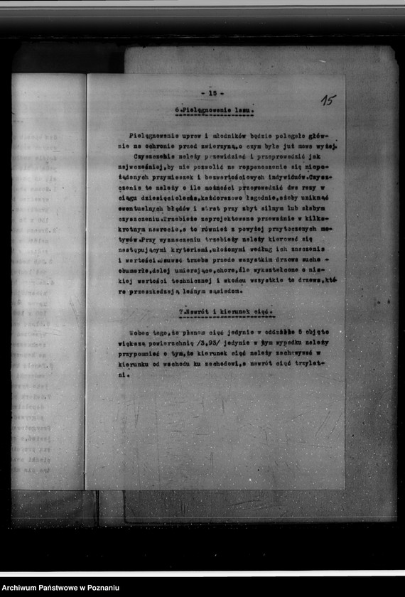 Obraz 19 z jednostki "Program urządzania gospodarstwa leśnego majętności Brachlin -powiat kościański"