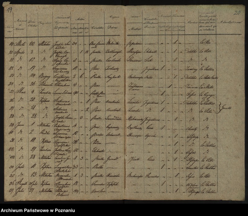 Obraz 13 z jednostki "Duplikatus Librorum Metrices Baptisatorum, Copulatorum et Mortuorum"
