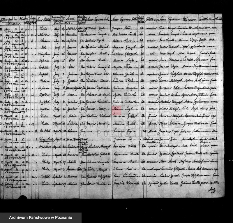 Obraz 3 z jednostki "Liber baptisatorum, copulatorum et mortuorum"