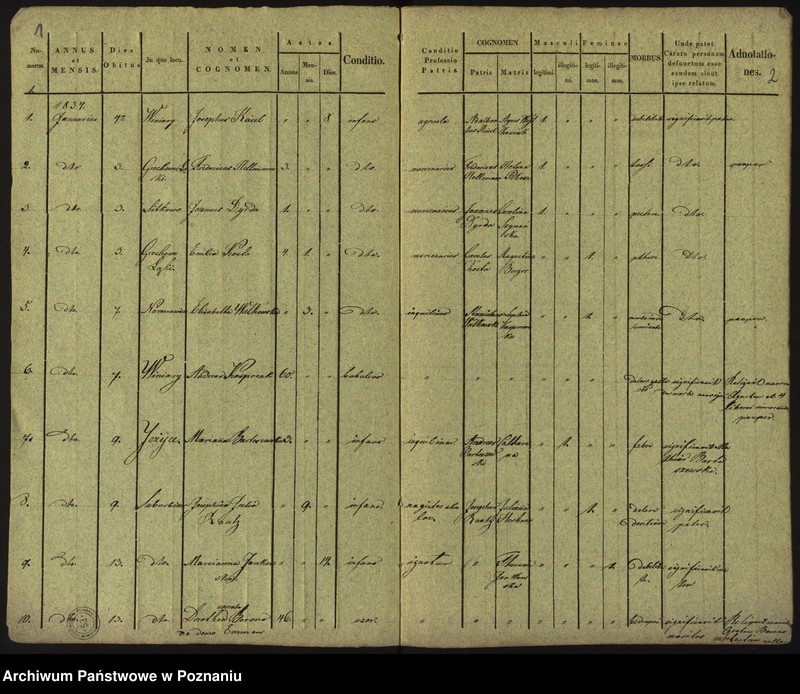 Obraz 4 z jednostki "Księga zgonów"