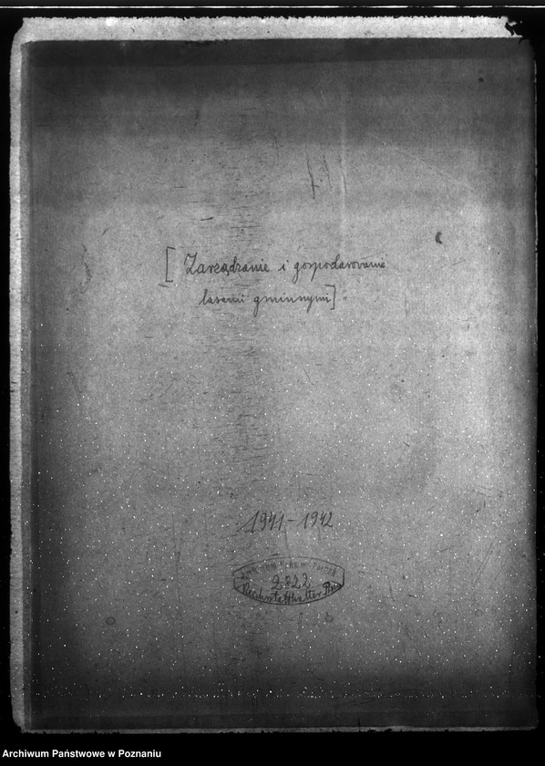 Obraz 4 z jednostki "Zarządzanie i gospodarowanie lasami gminnymi"