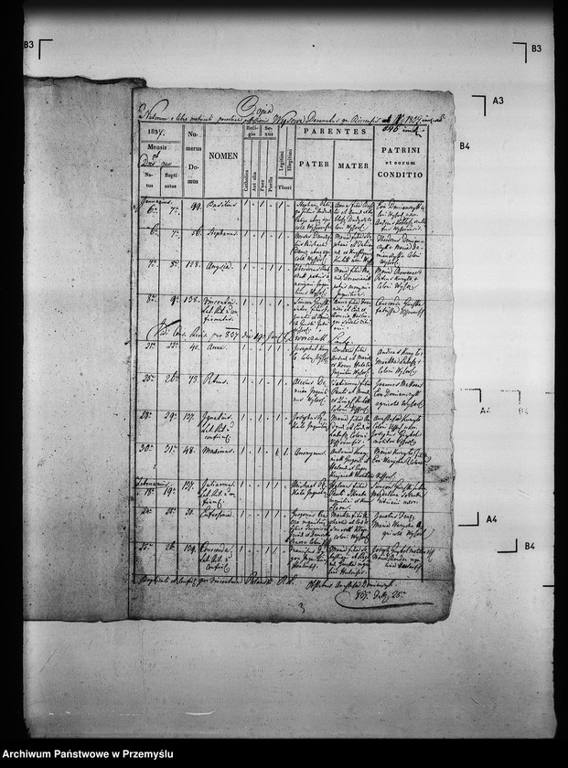 Obraz 6 z jednostki "[Kopie ksiąg metrykalnych parafii Wysowa z filią Blechnarka (dekanat Gorlice)]"