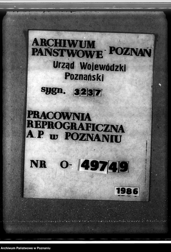 Obraz 18 z jednostki "Zalesienie nieużytków w powiecie gostyńskim"