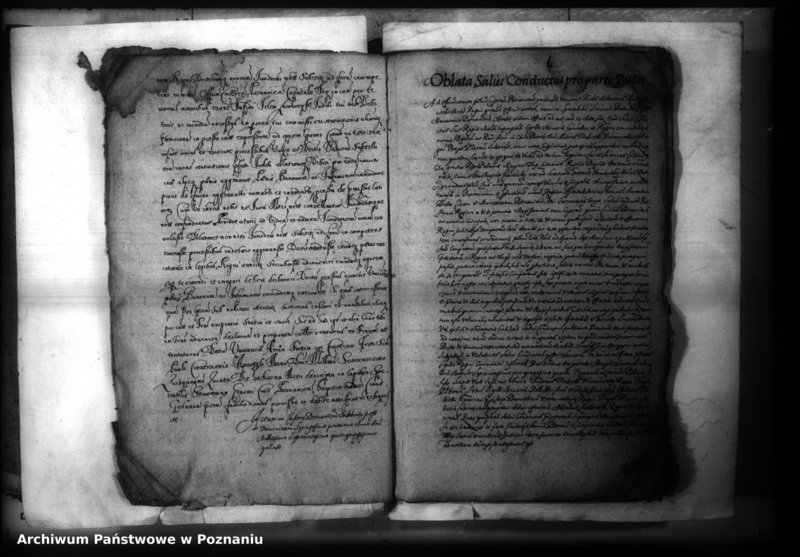 Obraz 8 z jednostki "Lib. civium, inscriptiones, relationes, decreta [inducta;protocollon]"