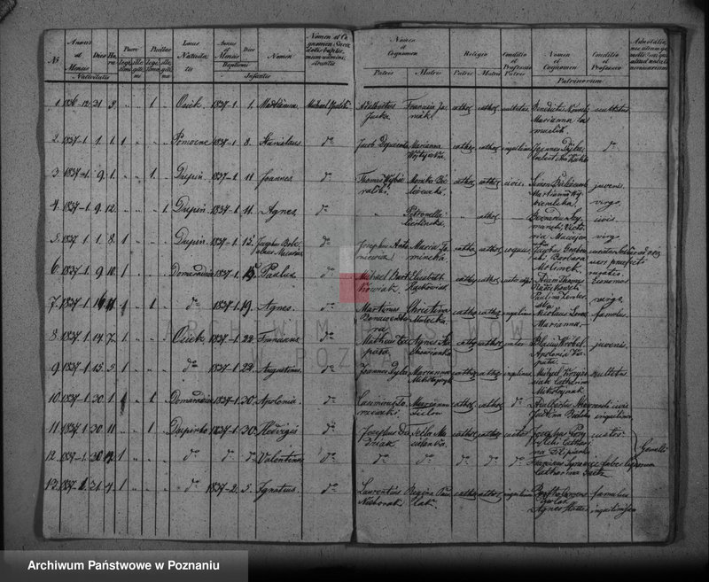 Obraz 4 z jednostki "Duplikat baptisatorum, copulatorum, mortuorum"