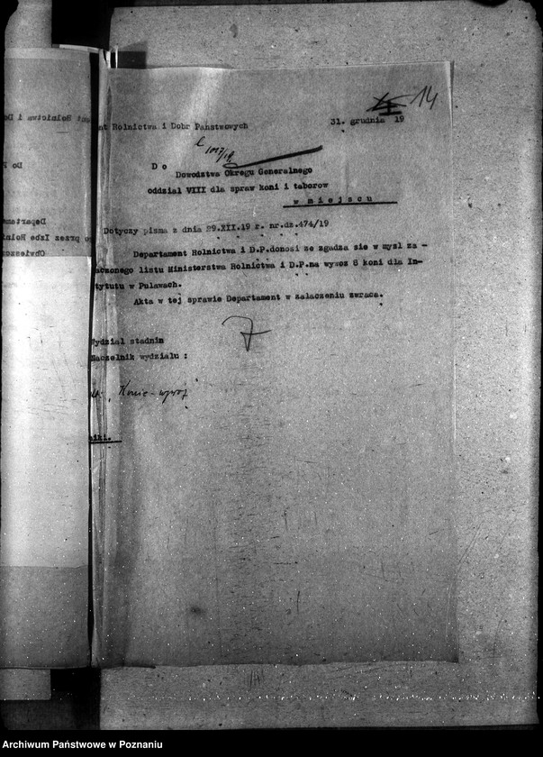 Obraz 19 z jednostki "Wywóz koni"