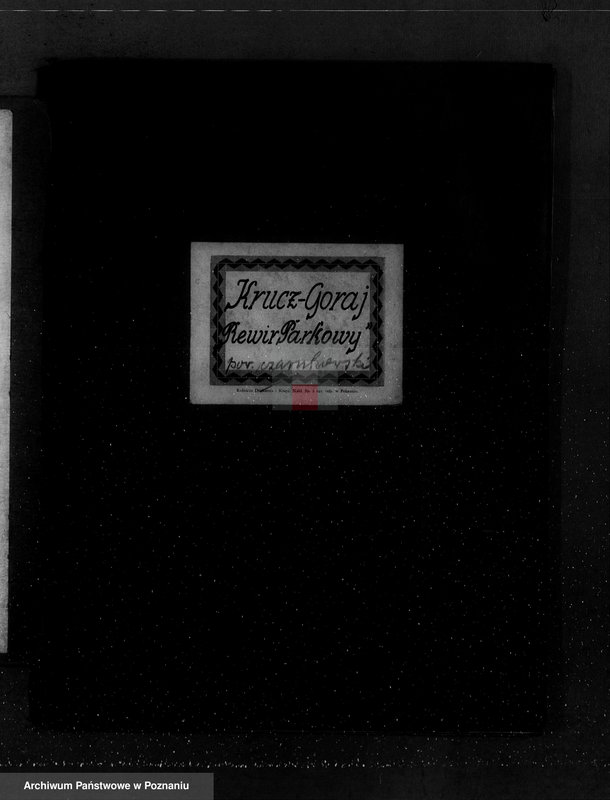 Obraz 4 z jednostki "/Nadzór nad gospodarką w lasach majątku Krucz-Goraj w powiecie czarnkowskim"