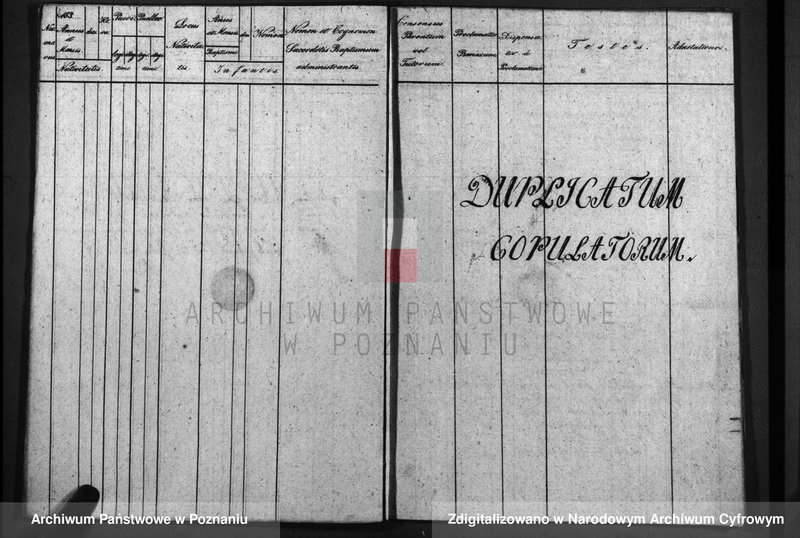 image.from.unit.number "Duplicatum baptisatorum, copulatorum, mortuorum"