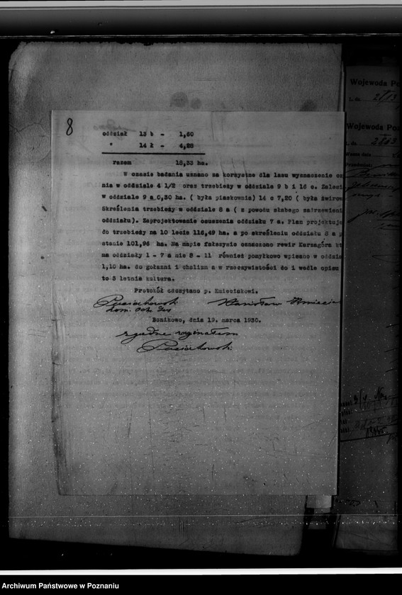 Obraz 12 z jednostki "Majętność leśna Bonikowo powiat kościański"