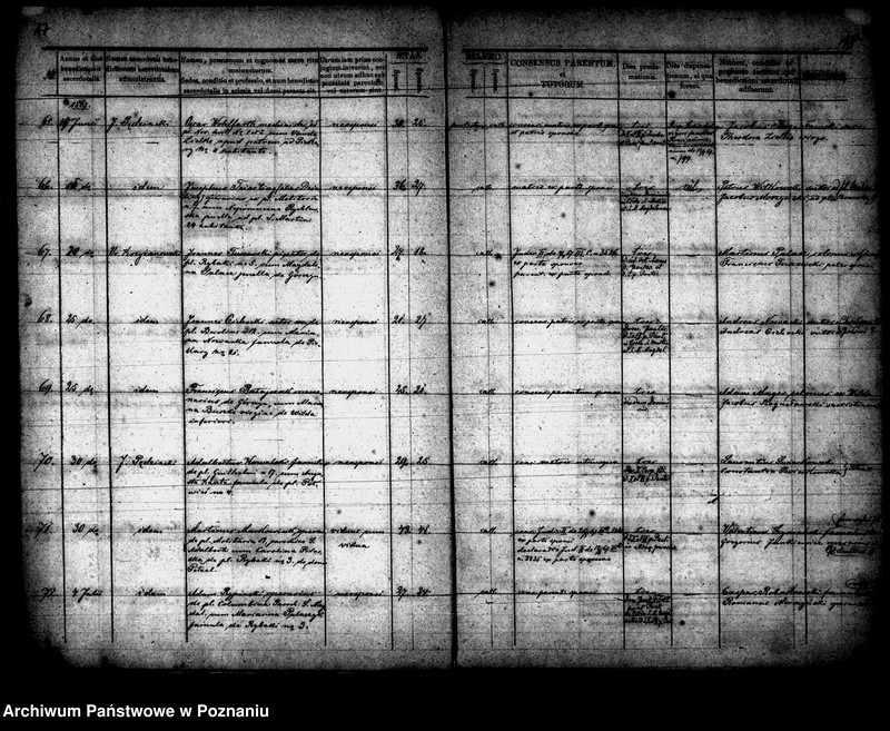 Obraz 10 z jednostki "Księga małżeństw"